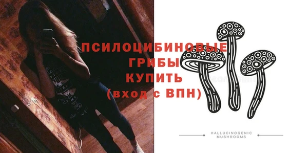 spice Приозерск