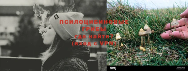 спайс Пролетарск